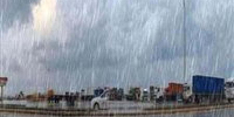 أمطار رعدية غزيرة وسيول محتملة.. الأرصاد الجوية تحذر من طقس السبت