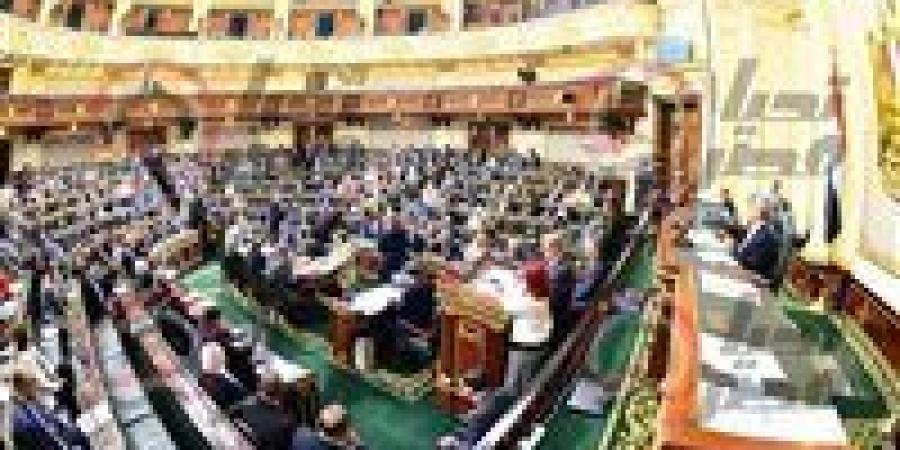 عربية النواب: مصر أسقطت الأكاذيب الإسرائيلية حول معبر رفح وحمت المنطقة من مخطط تهجير جديد