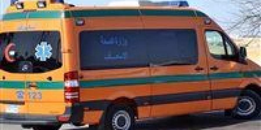 إصابة 3 أشخاص إثر سقوط حمولة زلط لسيارة نقل فى البساتين