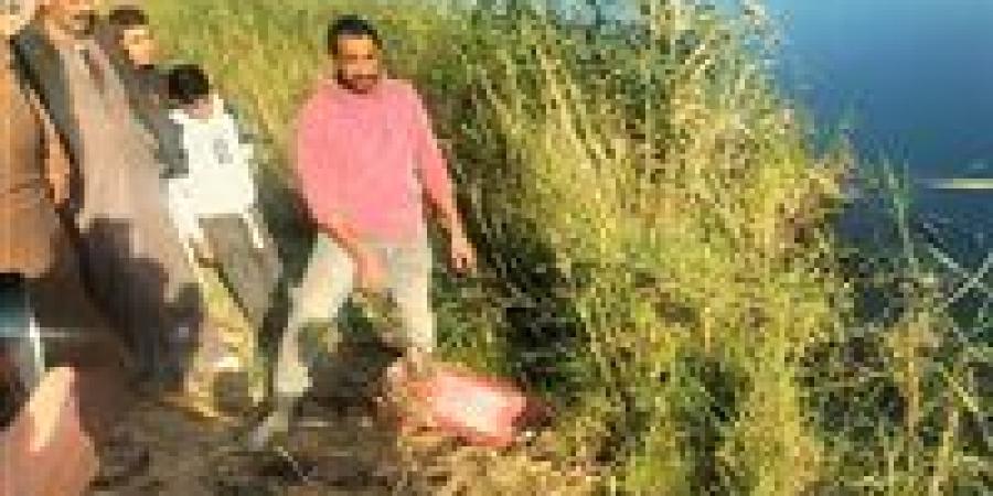 أحد غواصين الخير في الشرقية: نستخدم طُعم الدواجن لمحاولة استخراج التماسيح من المصرف