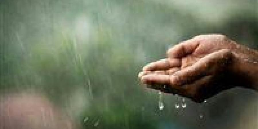 دعاء المطر كما ورد عن النبي.. ردده الآن