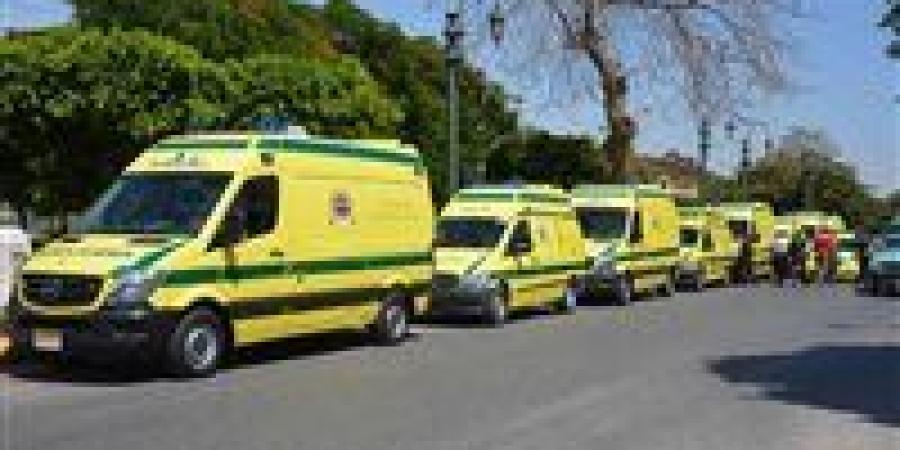 بعد تعطل الخط الساخن 123.. إسعاف الفيوم يعلن أرقامًا بديلة لتلقي البلاغات العاجلة