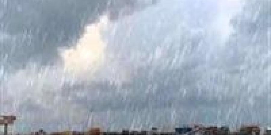 الطقس غدا.. الأرصاد: أمطار غزيرة ورياح قوية تضرب الوجه البحري وشمال البلاد