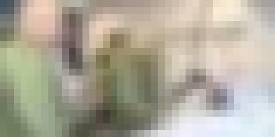 وزارة الدفاع الوطني: الفريق أول السعيد شنقريحة يتفقد المصابين إثر حادث المرور بولاية بني عباس