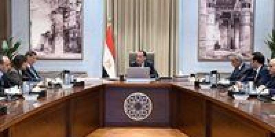 رئيس الوزراء يتابع جهود توافر السلع الغذائية والمنتجات الزراعية في الأسواق