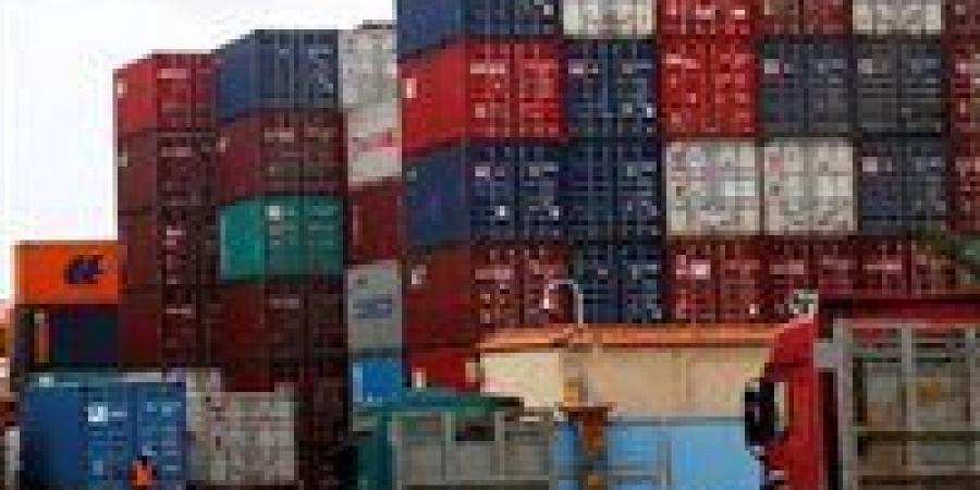 شروط تنظيم مزاولة مهنة التخليص الجمركي وفقًا لقانون الجمارك المصري