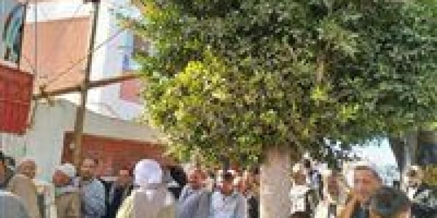 إقبال كبير بلجان المحمودية بمحافظة البحيرة مع فتح باب التصويت في انتخابات مجلس النواب