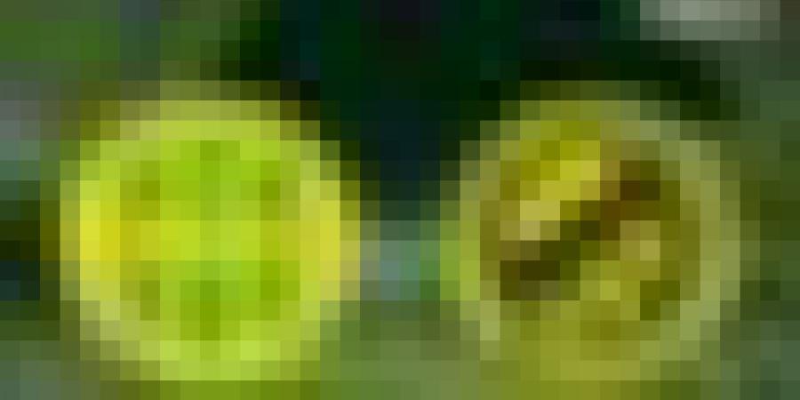 كأس الجزائر.. تغيير موعد انطلاق مباراة إتحاد الحراش وشبيبة القبائل