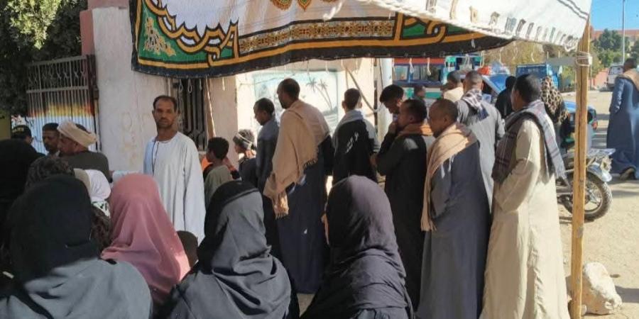 تزايد إقبال الناخبين في لجان قرية الدير بإسنا للتصويت في انتخابات مجلس النواب