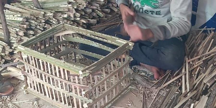 صناعتنا مهددة بالانقراض .. أقفاص الجريد تعاني بعد غزو البلاستيك وأصحاب المهنة : معندناش دخل تاني