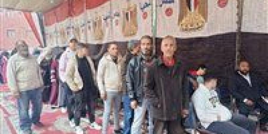 انتظام سير العملية الانتخابية في الدوائر الملغاة بمحافظة المنيا