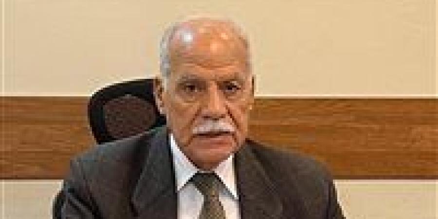 في اليوم العالمي لحقوق الإنسان.. العربي الناصري: مصر تخطو بثبات وتحديث الاستراتيجية ضرورة وطنية