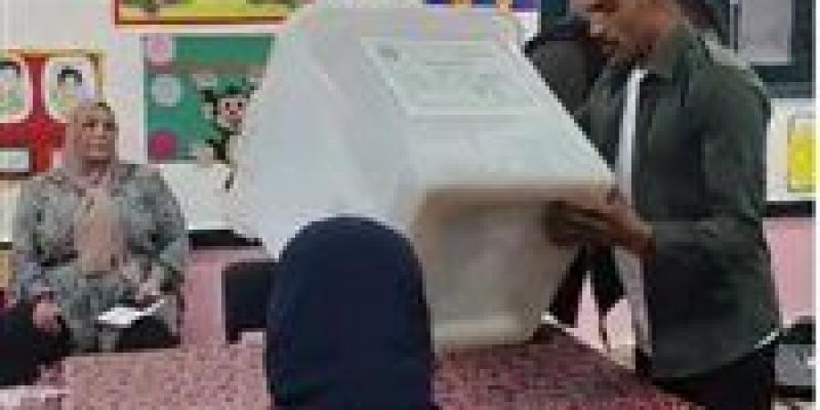 انتهاء اليوم الثاني من انتخابات مجلس النواب للدوائر الـ 30 الملغاة وبدء فرز الأصوات