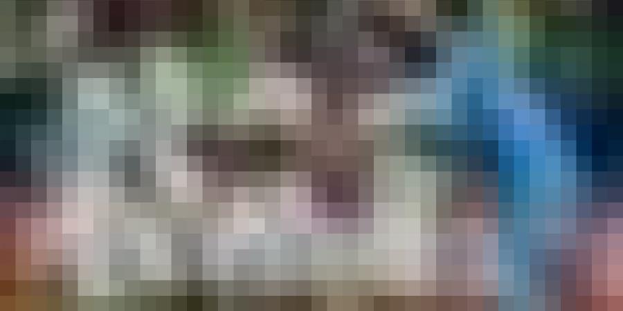 هذه التشيكلة الأساسية للمنتخب الوطني أمام الإمارات