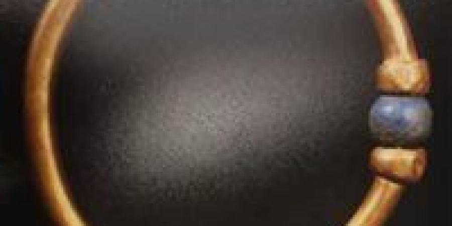 محاكمة المتهمين في واقعة سرقة الأسورة الأثرية من المتحف المصري