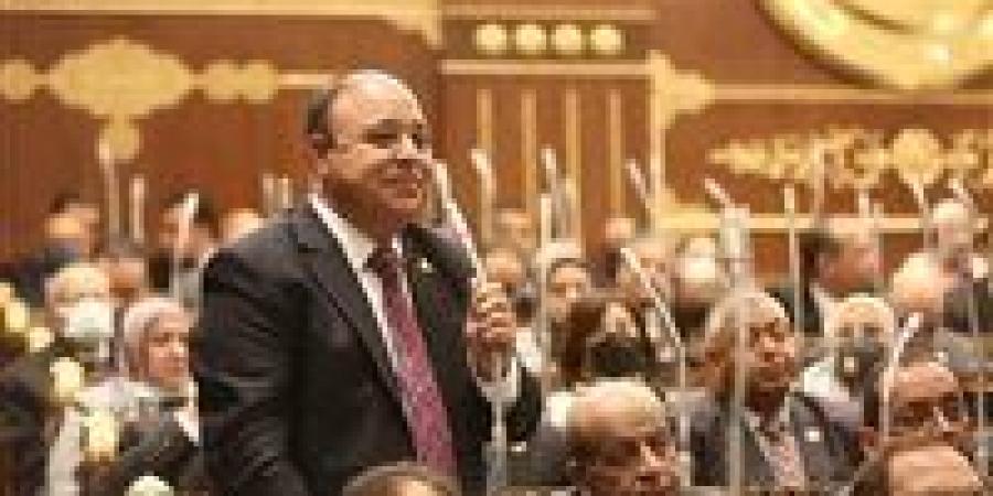 حسين خضير: إنشاء مركز التجارة الأفريقي في العاصمة الإدارية يعزز التكامل الاقتصادي ويعكس قوة العلاقات المصرية الإفريقية