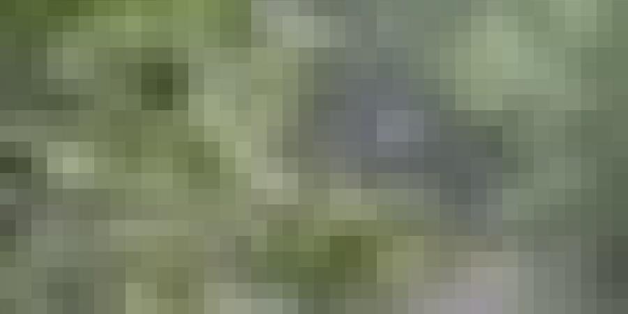 أمطار غزيرة تتعدى الـ 60 ملم عبر هذه الولايات