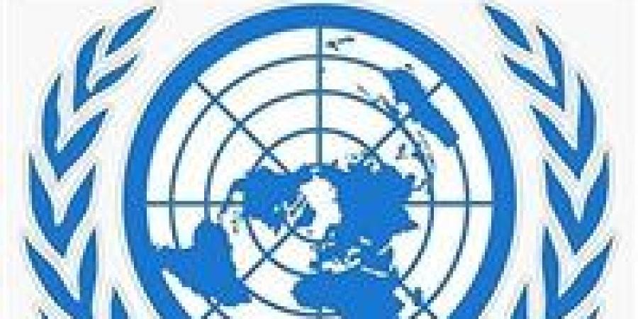 في الذكرى الـ20 لـ«مكافحة الفساد»..المجموعة العربية بالأمم المتحدة تحذر من تسييس الاتفاقية