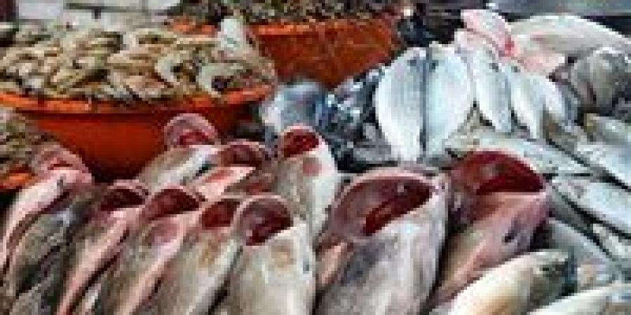 البلطي بكام النهارده؟.. اسعار السمك اليوم الثلاثاء 16 ديسمبر 2025 بالتفصيل