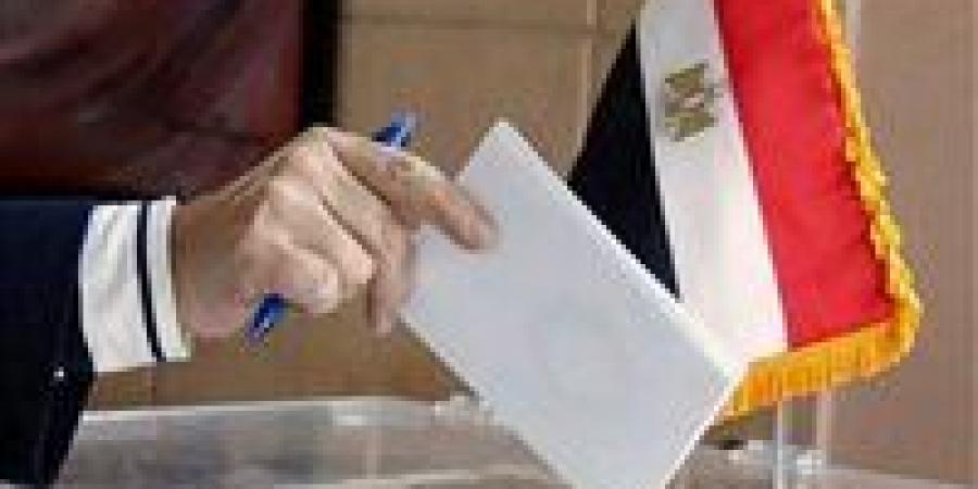 لليوم الثاني.. السفارة المصرية في طهران تواصل استقبال الناخبين في انتخابات مجلس النواب