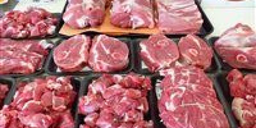 245
      جنيهًا
      للحوم
      المجمدة
      و310
      للطازجة..
      التموين
      تكشف
      خريطة
      أسعار
      اللحوم
      والدواجن
      قبل
      رمضان
      2026