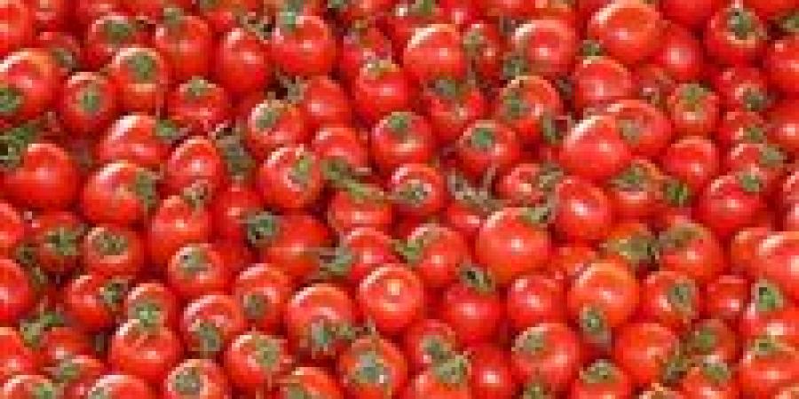 نقيب
      الفلاحين
      يكشف
      سبب
      وصول
      سعر
      الطماطم
      لـ15
      جنيها