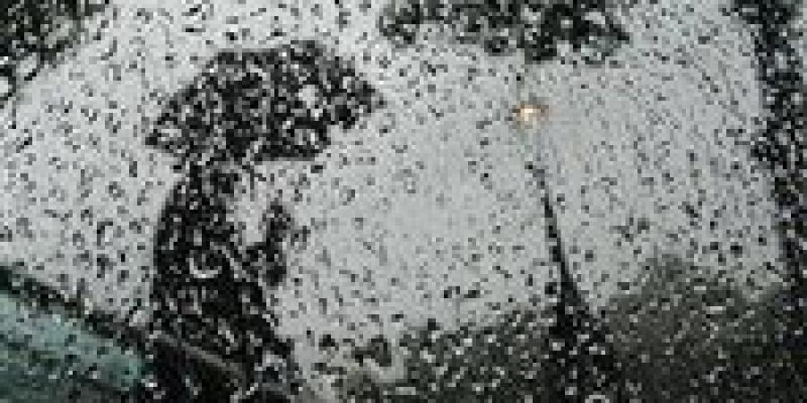 استعدوا
      غدًا
      لأطول
      ليل
      في
      العام
      بـ14
      ساعة..
      ظاهرة
      فلكية
      نادرة
      تغيّر
      ميزان
      الليل
      والنهار