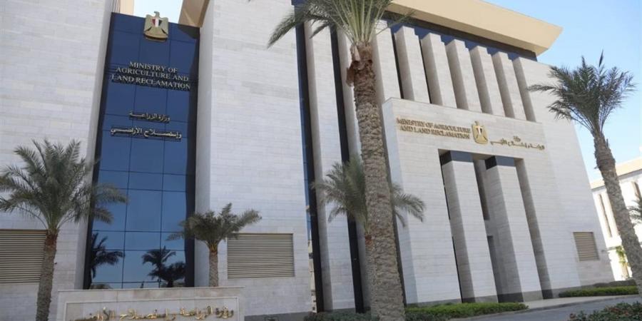 "الزراعة"
      تنفي
      علاقة
      "النمل
      الأبيض"
      بانهيار
      منازل
      في
      الأقصر..
      وتكشف
      الأسباب
      الحقيقية