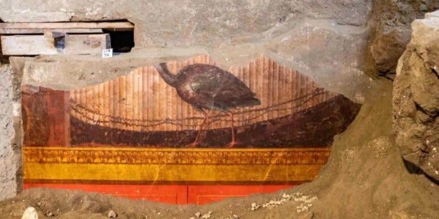 أعمال التنقيب فى بومبى تكشف عن قصر زوجة نيرون.. ما القصة؟