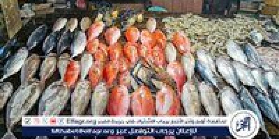 أسعار
      السمك
      اليوم
      الثلاثاء
      23-12-2025
      في
      محافظة
      الأقصر