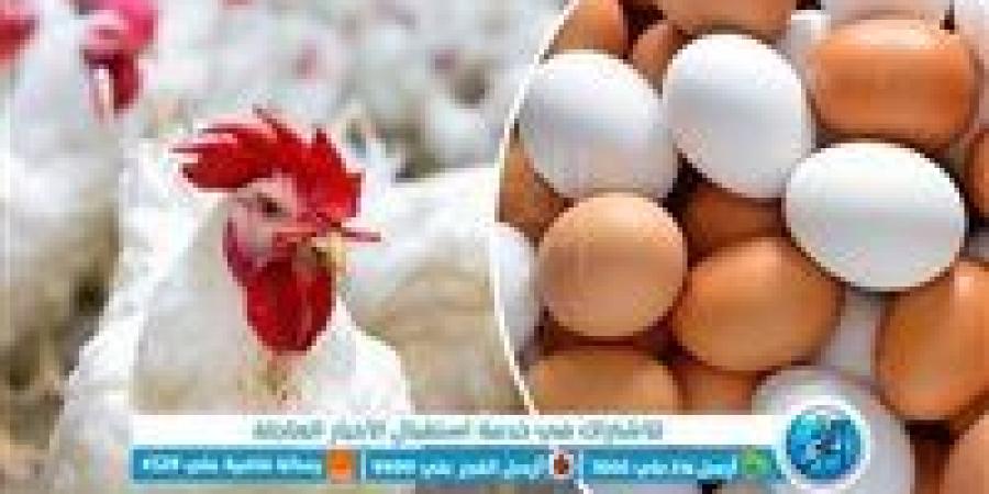أسعار
      البيض
      اليوم
      الأربعاء
      في
      محافظة
      الغربية