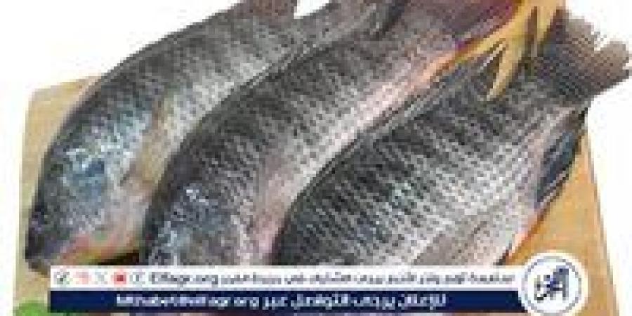 أسعار
      الأسماك
      اليوم
      الأربعاء
      في
      محافظة
      الغربية