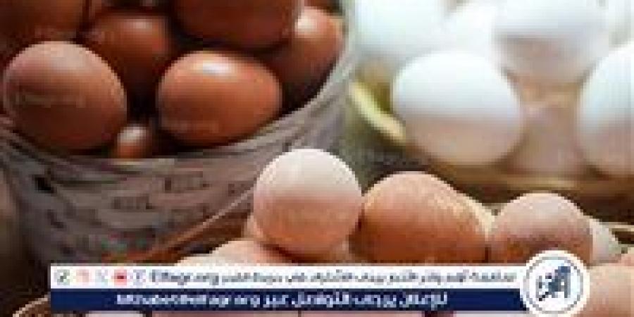 اسعار
      كرتونه
      البيض
      اليوم
      الخميس
      25ديسمبر
      2025
      فى
      المنيا