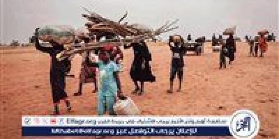 نائب
      مجلس
      السيادة
      السوداني:
      لا
      هدنة
      ولا
      تفاوض
      والسلام
      العادل
      سيتحقق
      برؤية
      الشعب
      والحكومة