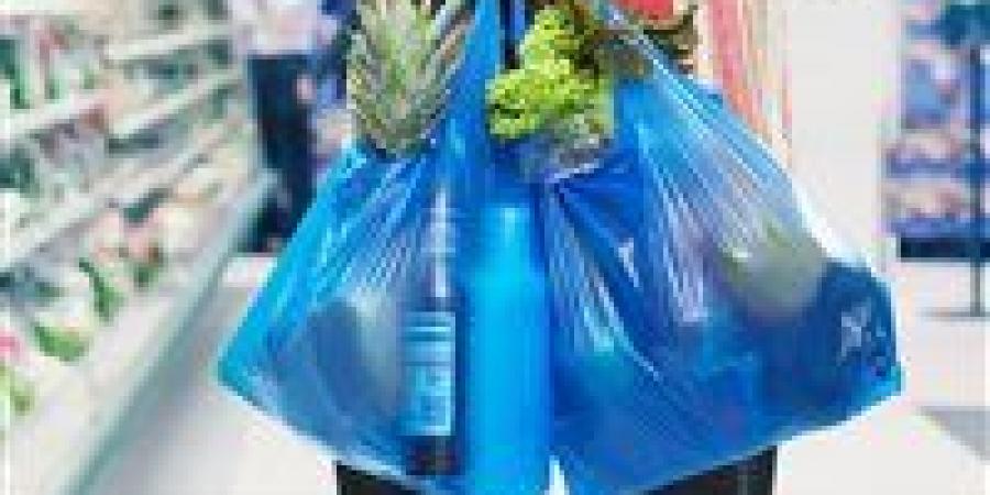 غرامات
      صارمة
      على
      مخالفي
      ضوابط
      الأكياس
      البلاستيكية
      في
      قانون
      إدارة
      المخلفات