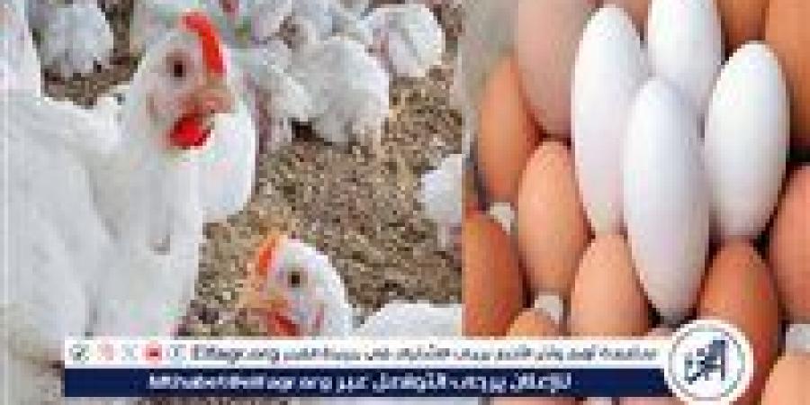 أسعار
      الفراخ
      والبيض
      اليوم
      الجمعة
      26-12-2025
      في
      الأقصر