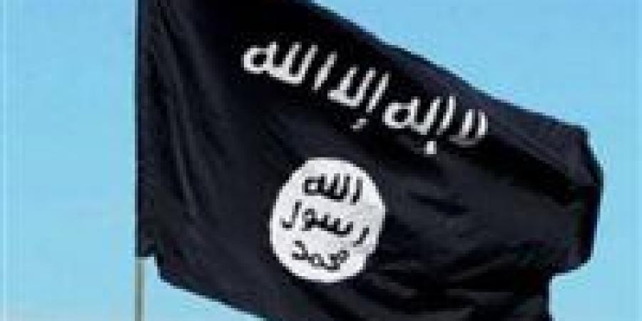 تأجيل محاكمة 78 متهم بالإنضمام لـ " خلايا تنظيم القاعدة العنقودية " لحضور المتهمين