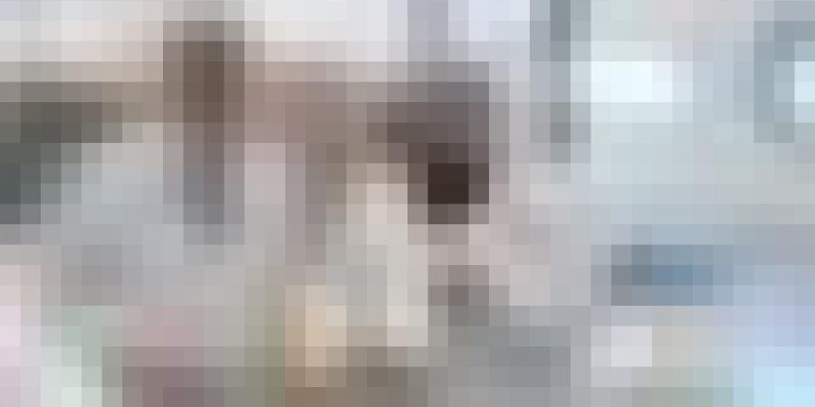 إطلاق أول أقلام إنسولين من الجيل الجديد في الجزائر