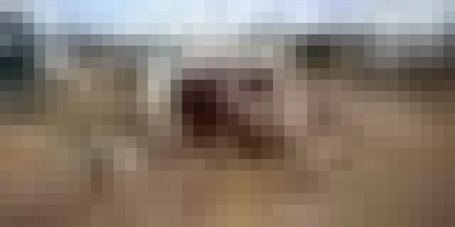 ربع مليون نازح متضرر بسبب المنخفض الجوي الذي يضرب قطاع غزة