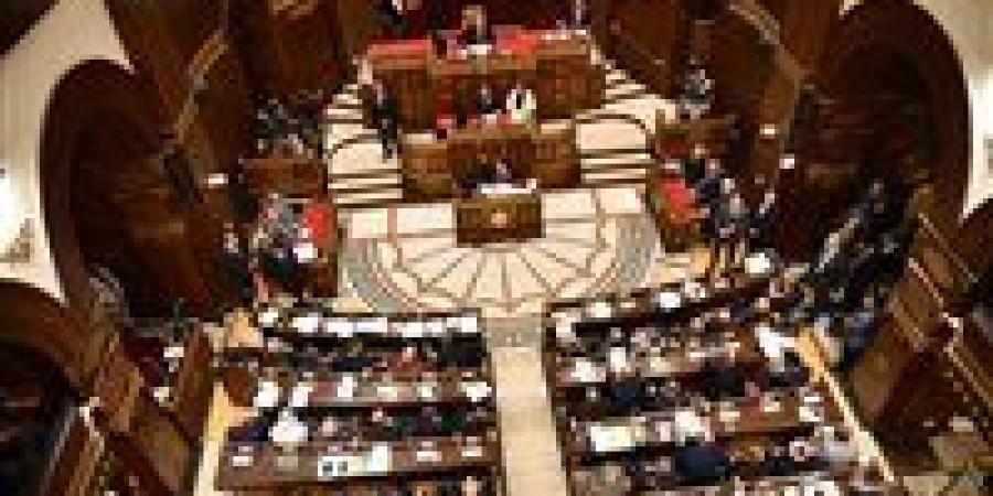 أعضاء تضامن الشيوخ لـ تحيا مصر: تطوير ملف حقوق الإنسان وتوسيع مظلة الرعاية الاجتماعية ودعم حقوق ذوي الهمم وتعديل قانون سيارتهم