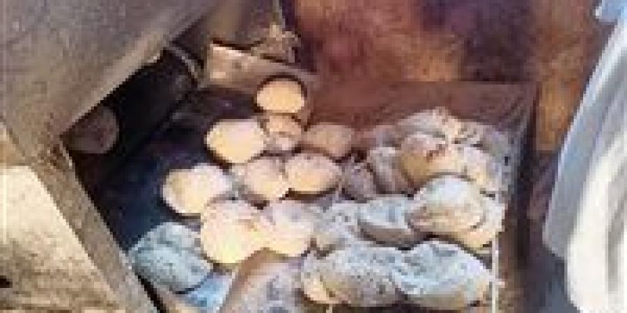 متحدث الحكومة: نصيب الفرد لا يزال ثابتاً عند 150 رغيف