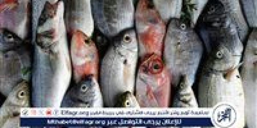 أسعار السمك في أسوان اليوم الأربعاء 31 ديسمبر 2025: