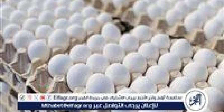 أسعار طبق البيض اليوم الاربعاء 31-12-2025 في قنا