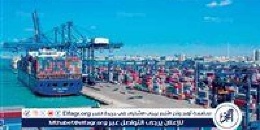 مصر تحتل المركز الـ 23 عالميًا في كفاءة وخدمات الموانئ (فيديو)