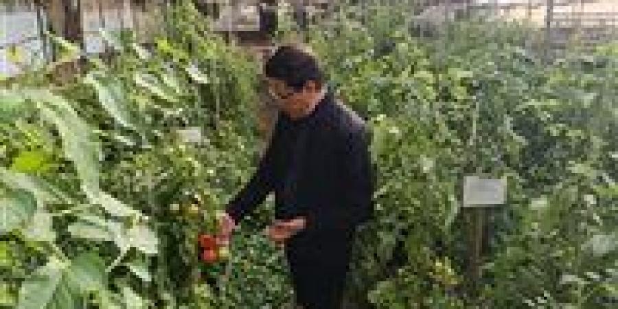 رئيس جامعة بنها يتفقد الوحدات الإنتاجية بكلية الزراعة بمشتهر