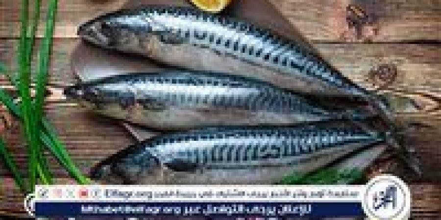 اسعار السمك البلطى والبورى اليوم الخميس 1يناير 2026 فى المنيا