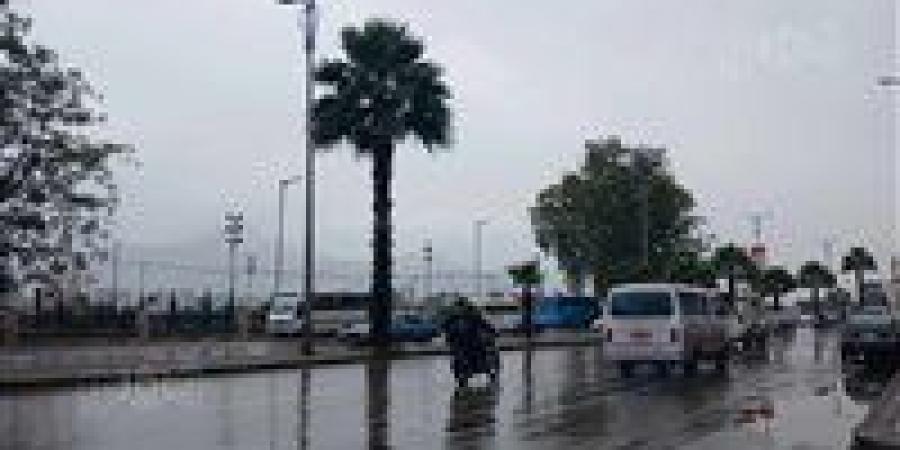 أمطار غزيرة وانخفاض الحرارة وارتفاع الأمواج 3 أمتار مع نوة رأس السنة بالإسكندرية