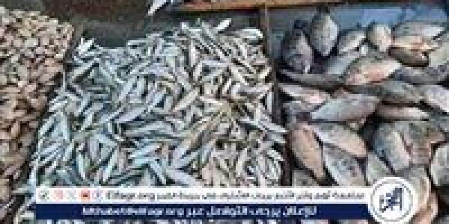 أسعار السمك اليوم الخميس 1-1-2026 في محافظة الأقصر