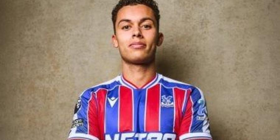 كريستال بالاس يضم برينان جونسون من توتنهام في صفقة قياسية