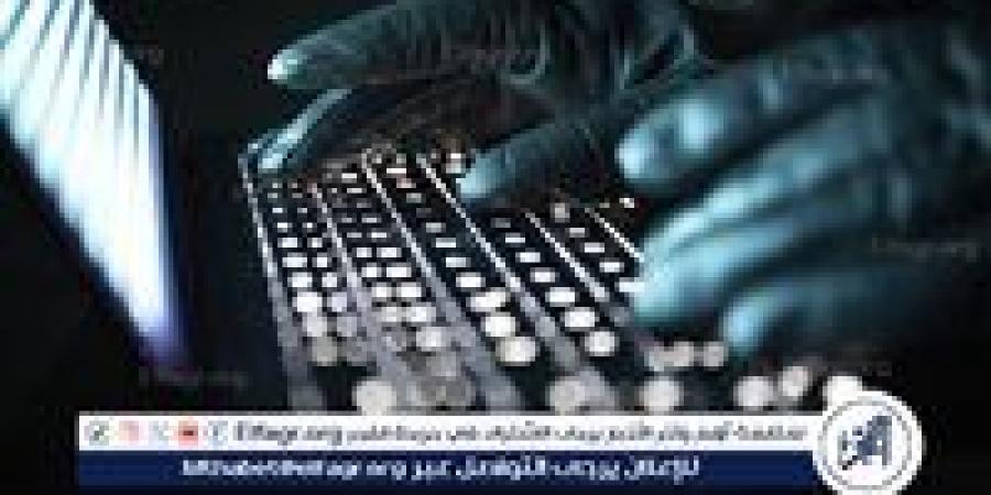 رئيس المركز البلجيكي للأمن السيبراني يؤكد أن أوروبا "فقدت الإنترنت"